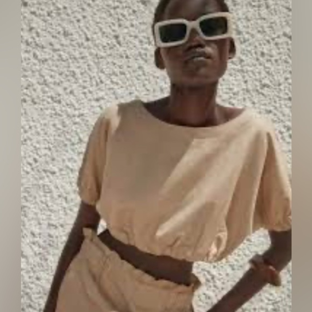 Zara Tan Crop Top